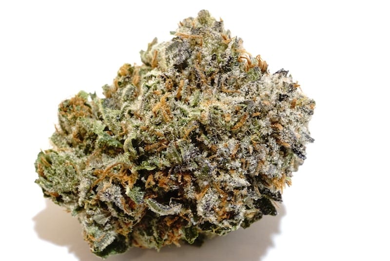 Durban Gushers - Hybrid - 3.5g