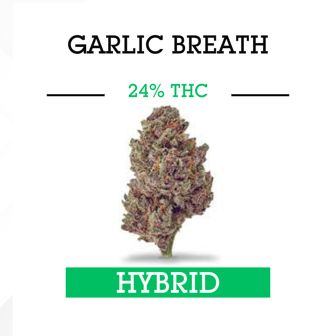 Garlic Breath -Hybrid- 3.5g