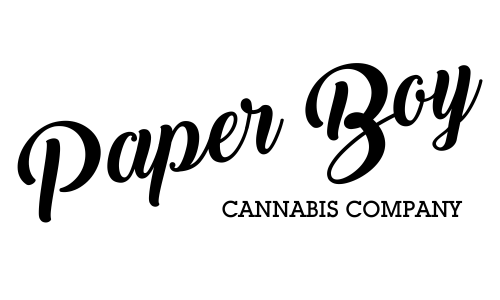Paper Boy Papers