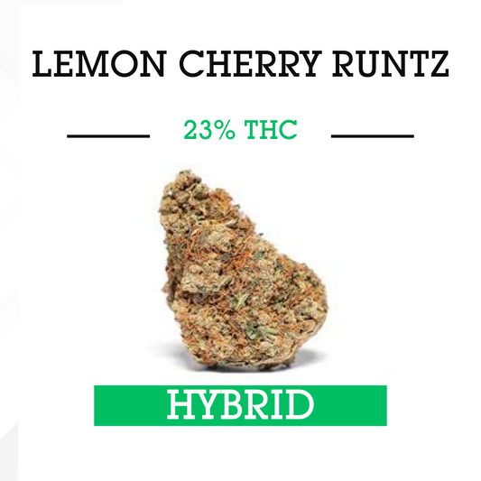 Lemon Cherry Runtz- Hybrid - 3.5g