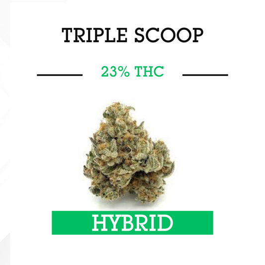 Triple Scoop - Hybrid  - 3.5g (23%.THC)