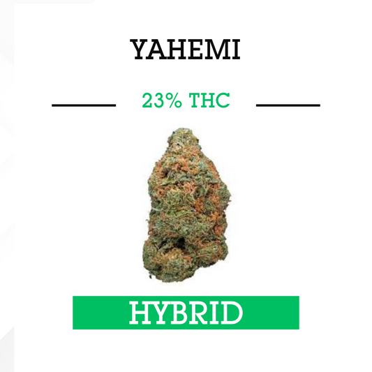 Yahemi - Hybrid  - 3.5g (23%.THC)